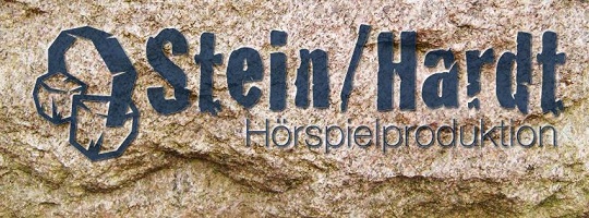 steinhardt logo