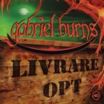 gabriel burns livrare opt